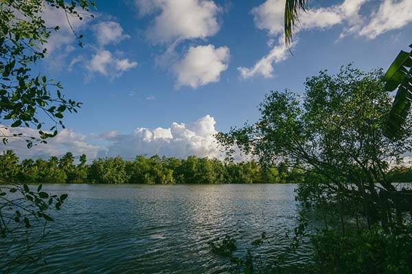 很多人冲着每日大赛app官网去，最后记住的却是这个细节，但最意外的还不是这个